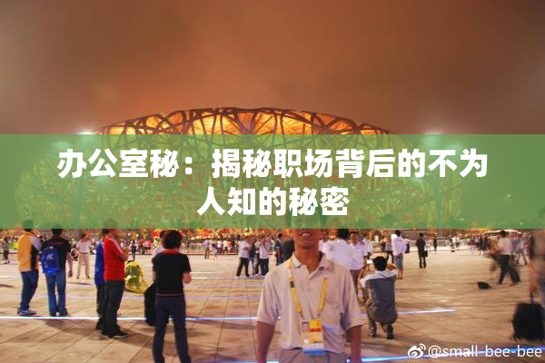 办公室秘：揭秘职场背后的不为人知的秘密