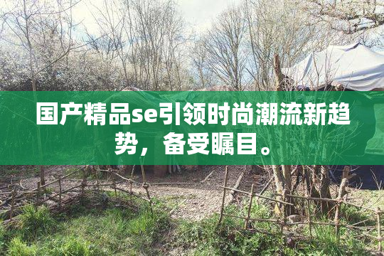 国产精品se引领时尚潮流新趋势，备受瞩目。