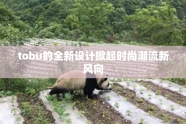 tobu的全新设计掀起时尚潮流新风向