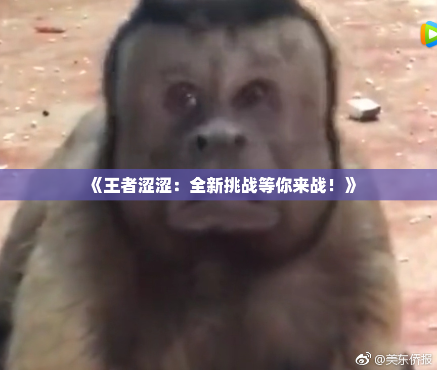 《王者涩涩：全新挑战等你来战！》