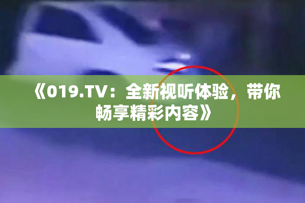 《019.TV：全新视听体验，带你畅享精彩内容》