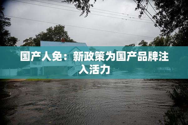 国产人免：新政策为国产品牌注入活力