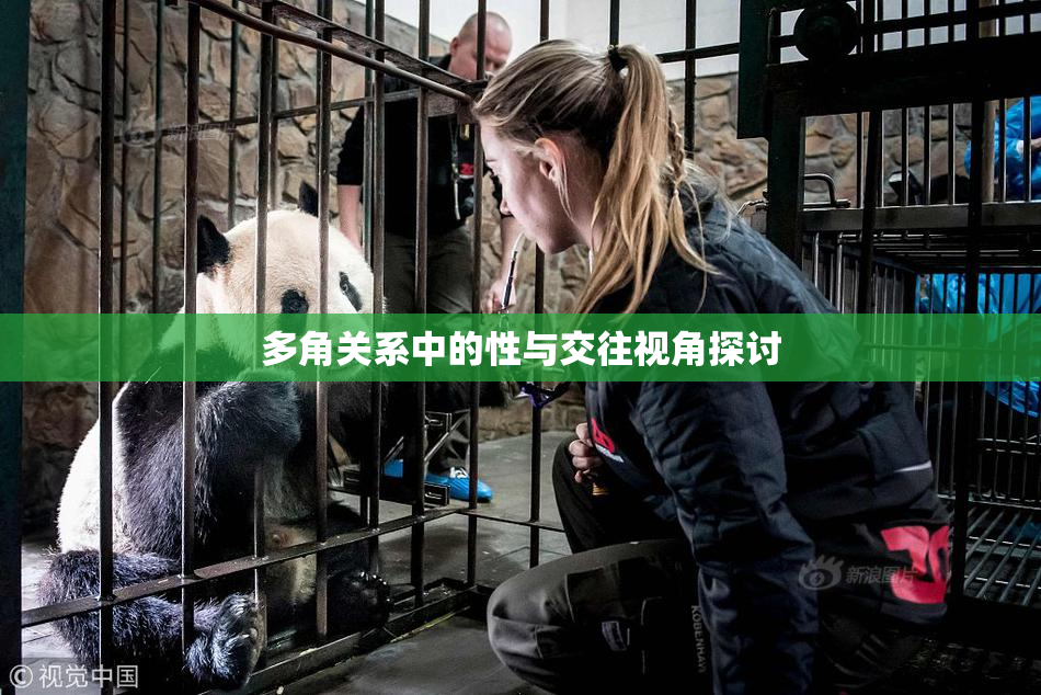 多角关系中的性与交往视角探讨