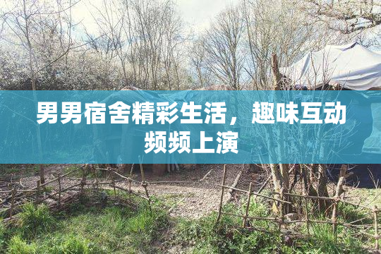 男男宿舍精彩生活，趣味互动频频上演