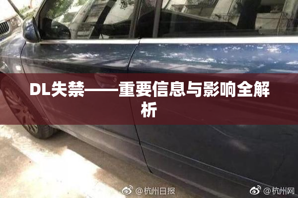 DL失禁——重要信息与影响全解析