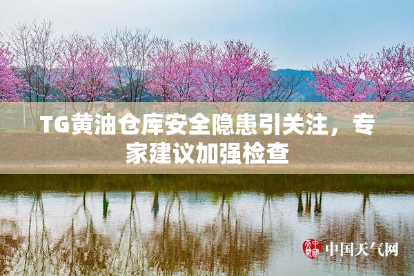 TG黄油仓库安全隐患引关注，专家建议加强检查