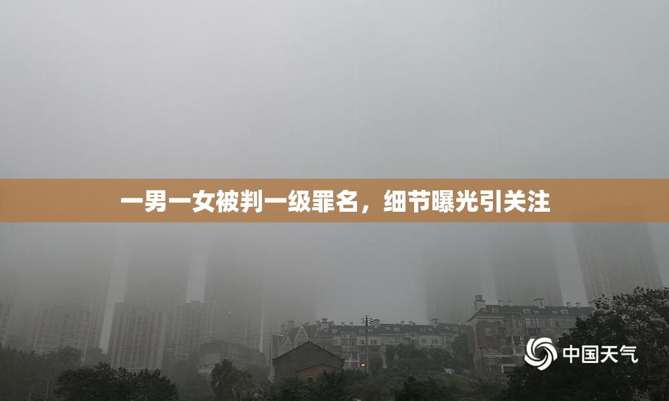 一男一女被判一级罪名，细节曝光引关注