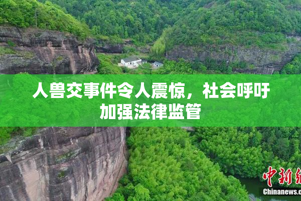 人兽交事件令人震惊，社会呼吁加强法律监管
