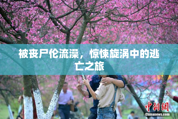 被丧尸伦流澡，惊悚旋涡中的逃亡之旅