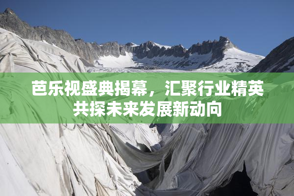 芭乐视盛典揭幕，汇聚行业精英共探未来发展新动向