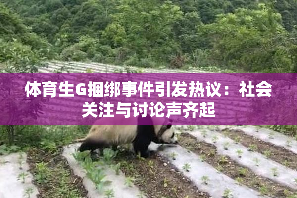 体育生G捆绑事件引发热议：社会关注与讨论声齐起