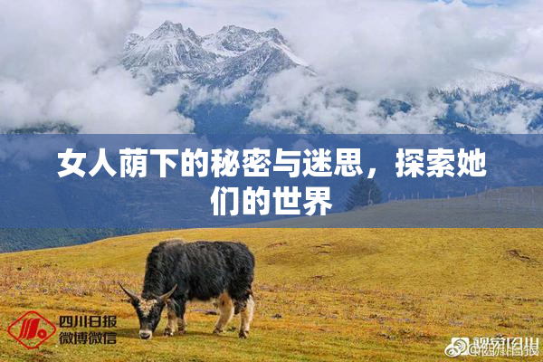 女人荫下的秘密与迷思，探索她们的世界