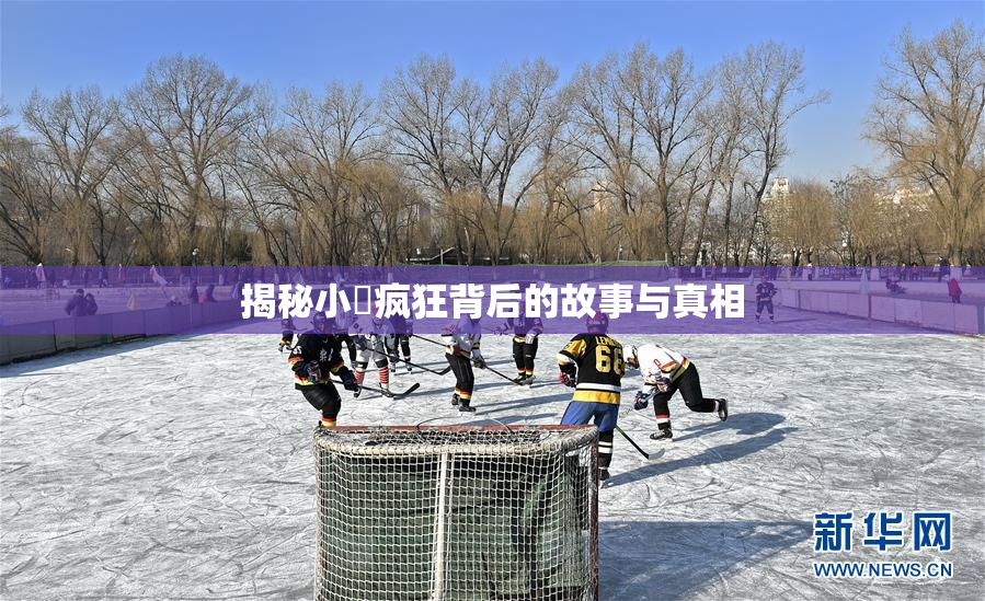 揭秘小泬疯狂背后的故事与真相