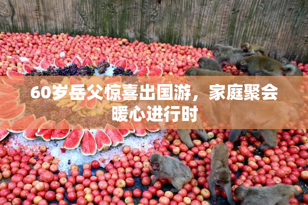 60岁岳父惊喜出国游，家庭聚会暖心进行时