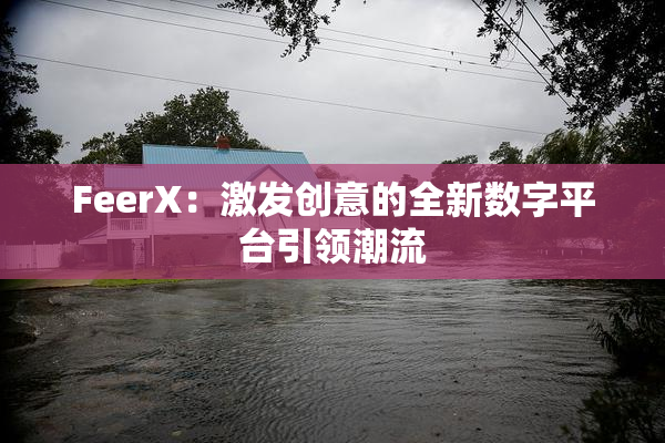 FeerX：激发创意的全新数字平台引领潮流