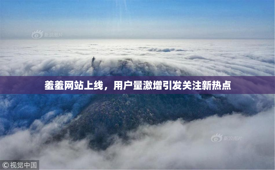 羞羞网站上线，用户量激增引发关注新热点