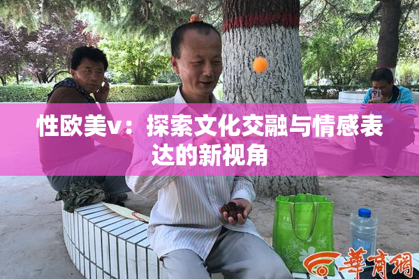 性欧美v：探索文化交融与情感表达的新视角