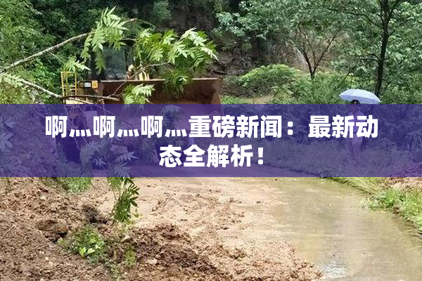 啊灬啊灬啊灬重磅新闻：最新动态全解析！