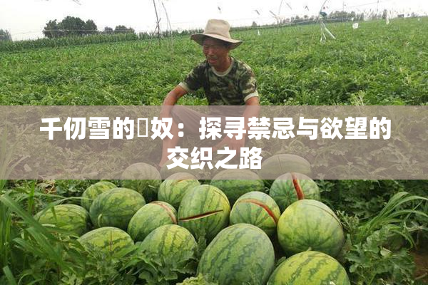 千仞雪的婬奴：探寻禁忌与欲望的交织之路