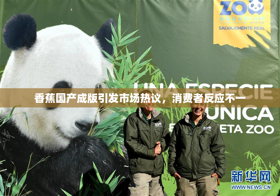 香蕉国产成版引发市场热议，消费者反应不一