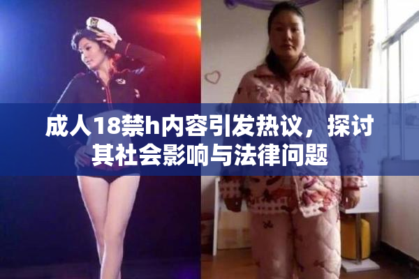成人18禁h内容引发热议，探讨其社会影响与法律问题