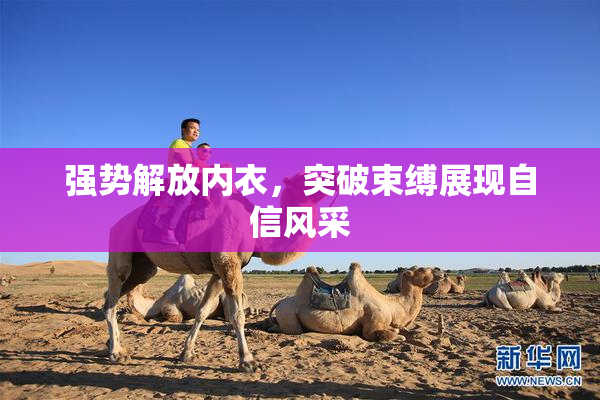 强势解放内衣，突破束缚展现自信风采