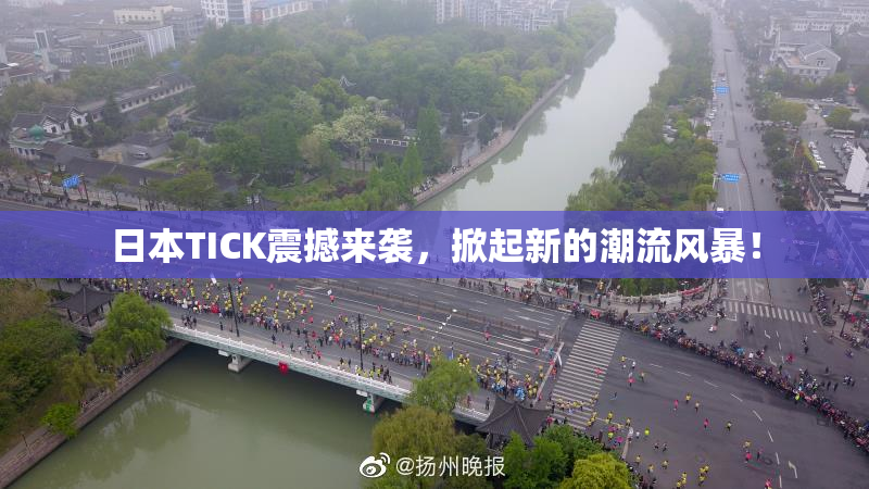 日本TICK震撼来袭，掀起新的潮流风暴！