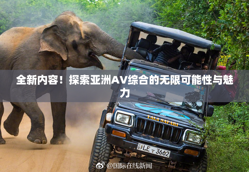 全新内容！探索亚洲AV综合的无限可能性与魅力