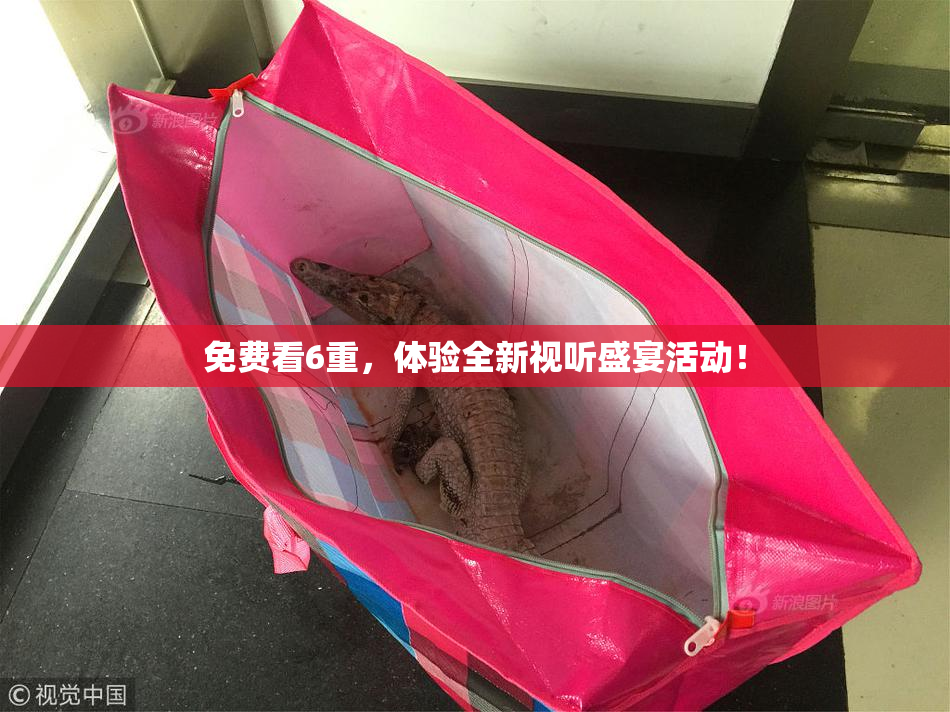 免费看6重，体验全新视听盛宴活动！