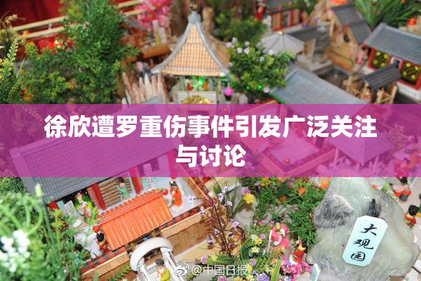 徐欣遭罗重伤事件引发广泛关注与讨论