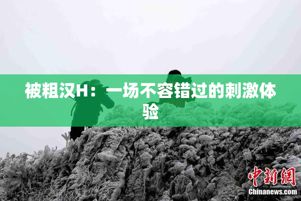 被粗汉H：一场不容错过的刺激体验