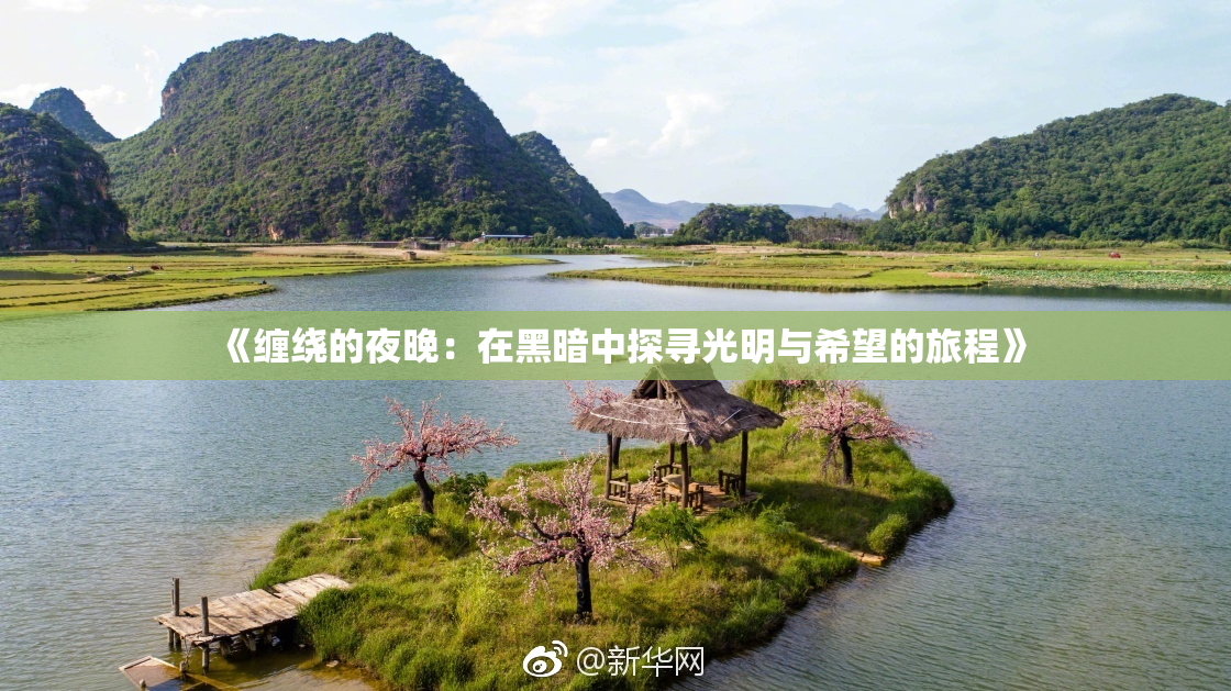 《缠绕的夜晚：在黑暗中探寻光明与希望的旅程》