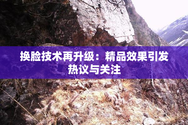 换脸技术再升级：精品效果引发热议与关注