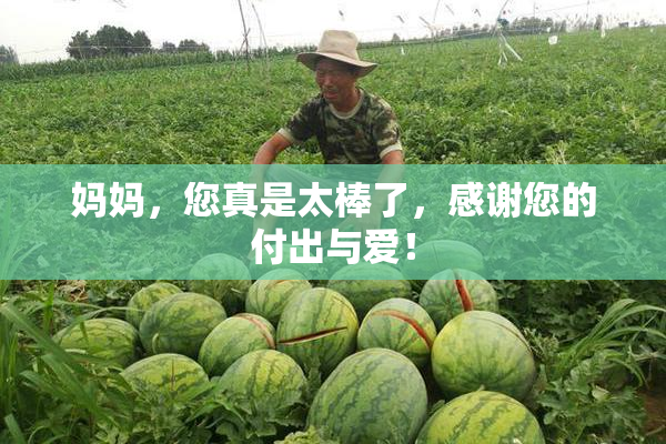 妈妈，您真是太棒了，感谢您的付出与爱！