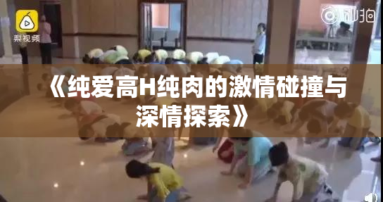 《纯爱高H纯肉的激情碰撞与深情探索》