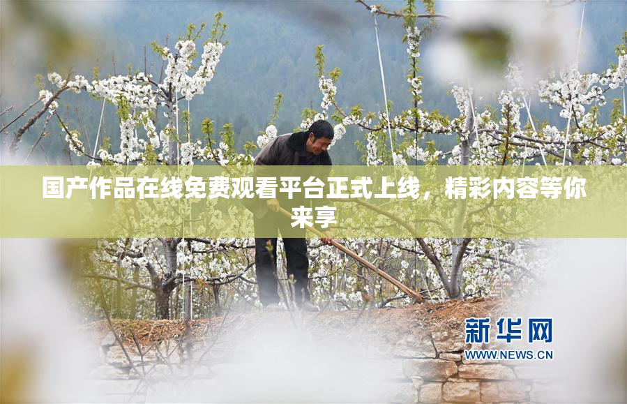 国产作品在线免费观看平台正式上线，精彩内容等你来享