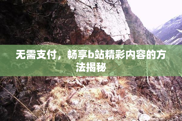 无需支付，畅享b站精彩内容的方法揭秘