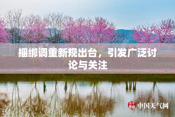 捆绑调重新规出台，引发广泛讨论与关注