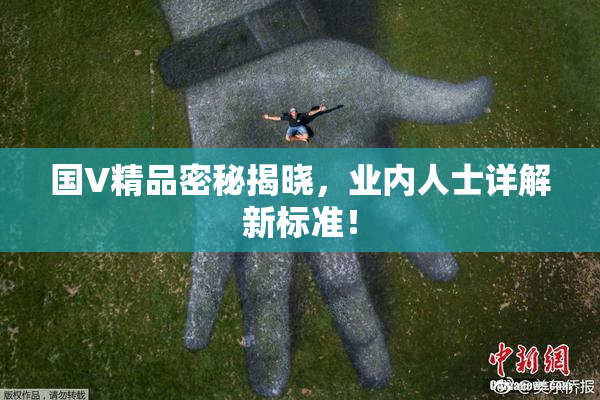 国V精品密秘揭晓，业内人士详解新标准！
