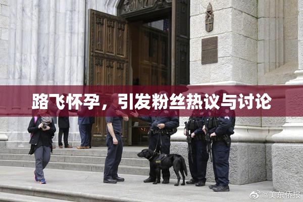 路飞怀孕，引发粉丝热议与讨论