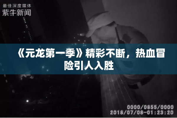 《元龙第一季》精彩不断，热血冒险引人入胜