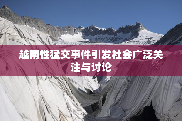 越南性猛交事件引发社会广泛关注与讨论
