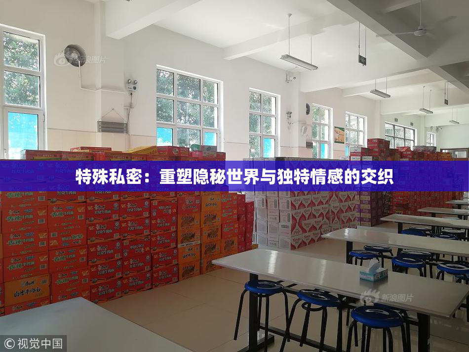 特殊私密：重塑隐秘世界与独特情感的交织