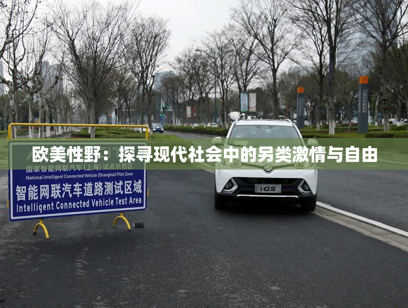 欧美性野：探寻现代社会中的另类激情与自由