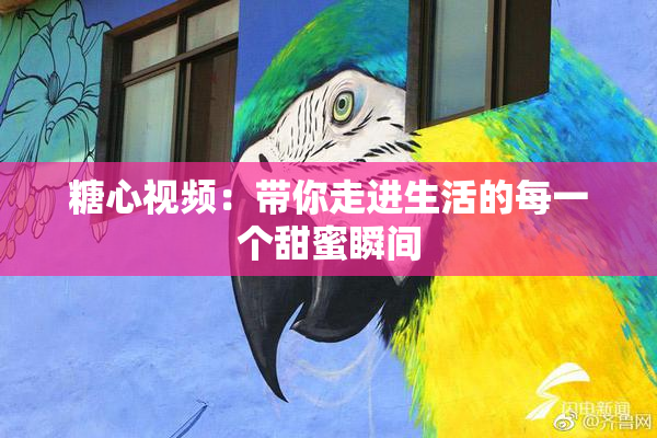 糖心视频：带你走进生活的每一个甜蜜瞬间