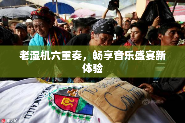 老湿机六重奏，畅享音乐盛宴新体验
