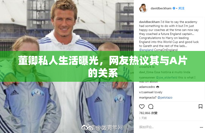 董卿私人生活曝光，网友热议其与A片的关系