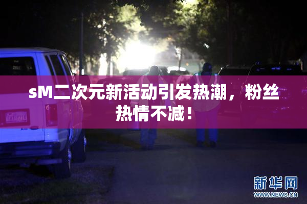 sM二次元新活动引发热潮，粉丝热情不减！