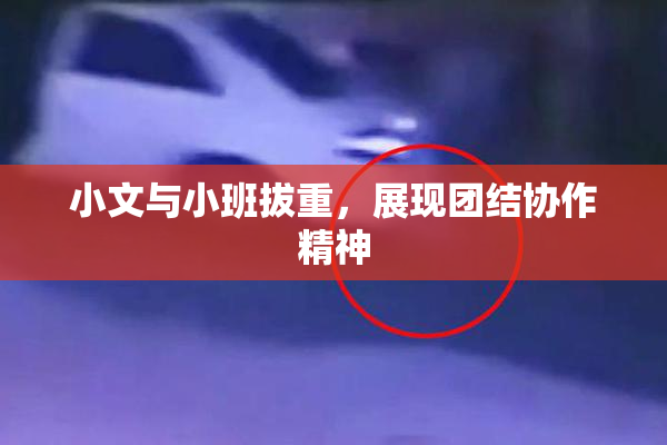 小文与小班拔重，展现团结协作精神