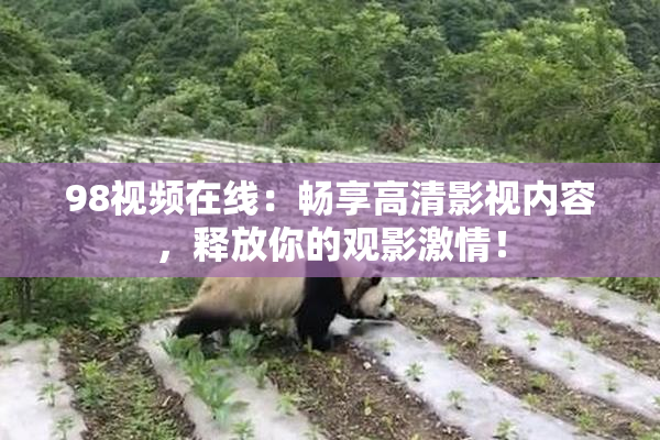 98视频在线：畅享高清影视内容，释放你的观影激情！